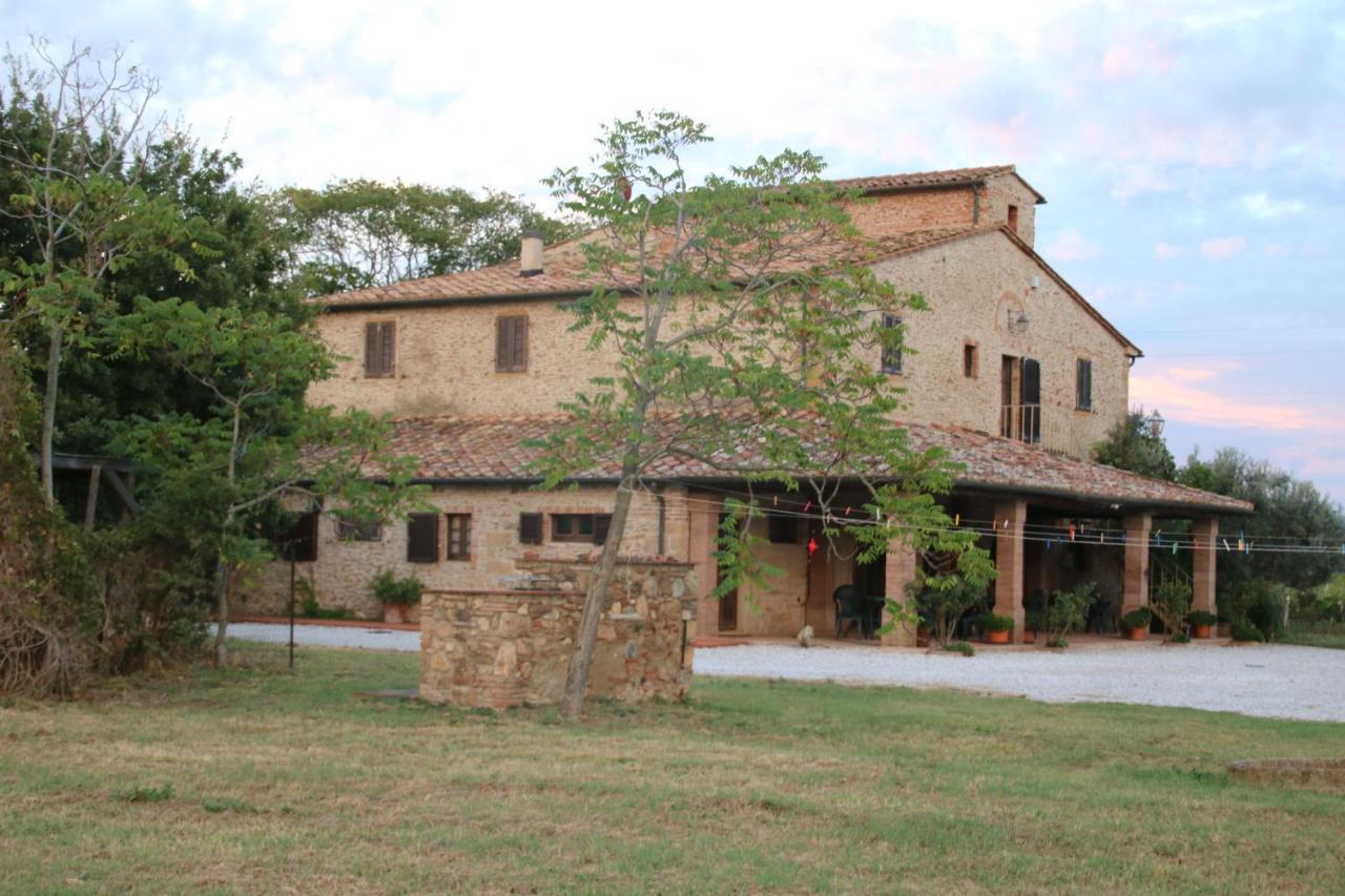 Podere Campo Alle Serpi Bibbona Bagian luar foto
