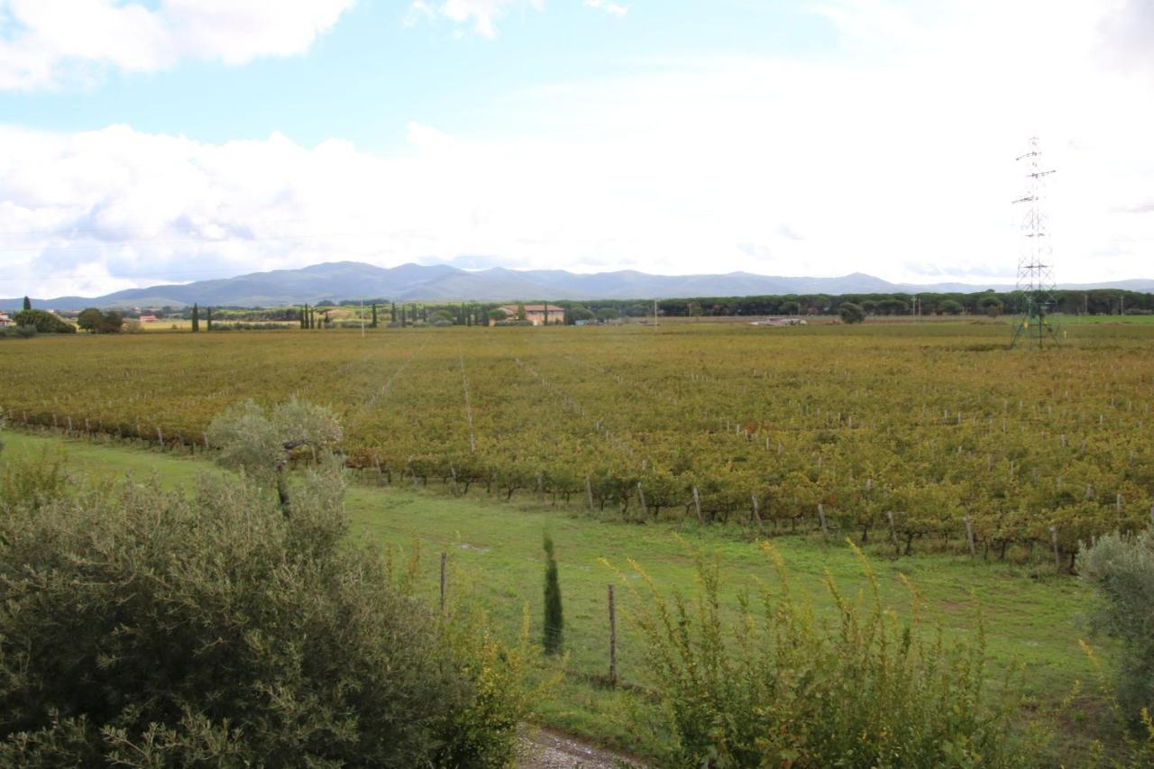 Podere Campo Alle Serpi Bibbona Bagian luar foto
