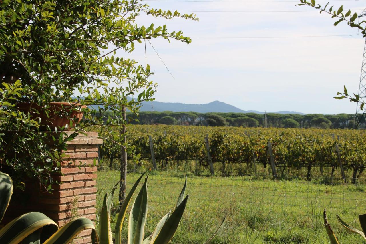 Podere Campo Alle Serpi Bibbona Bagian luar foto