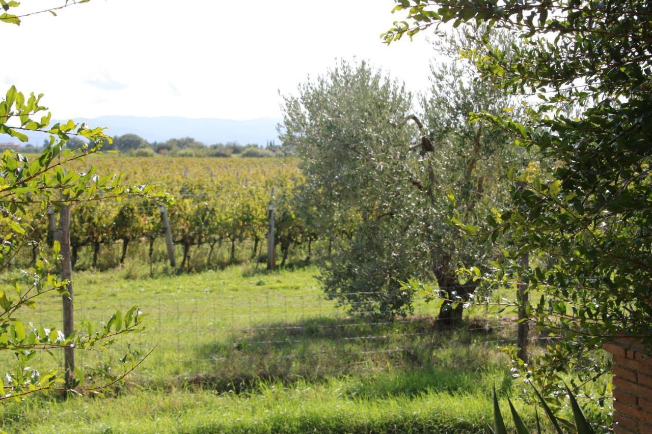 Podere Campo Alle Serpi Bibbona Bagian luar foto