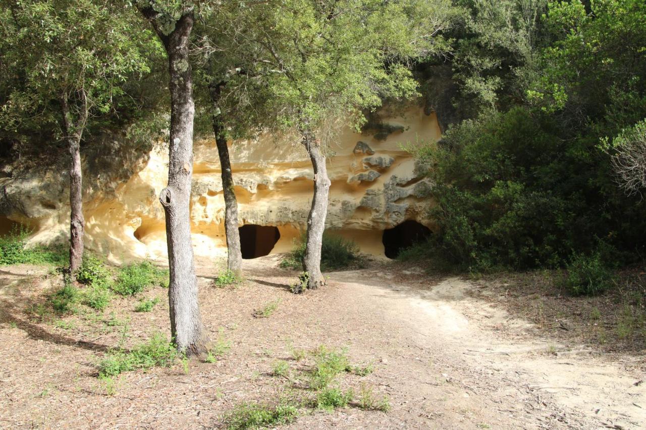 Podere Campo Alle Serpi Bibbona Bagian luar foto