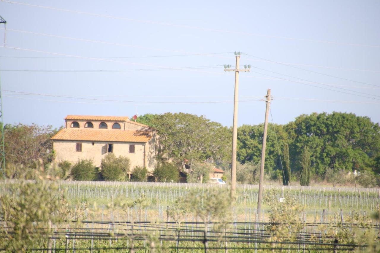 Podere Campo Alle Serpi Bibbona Bagian luar foto