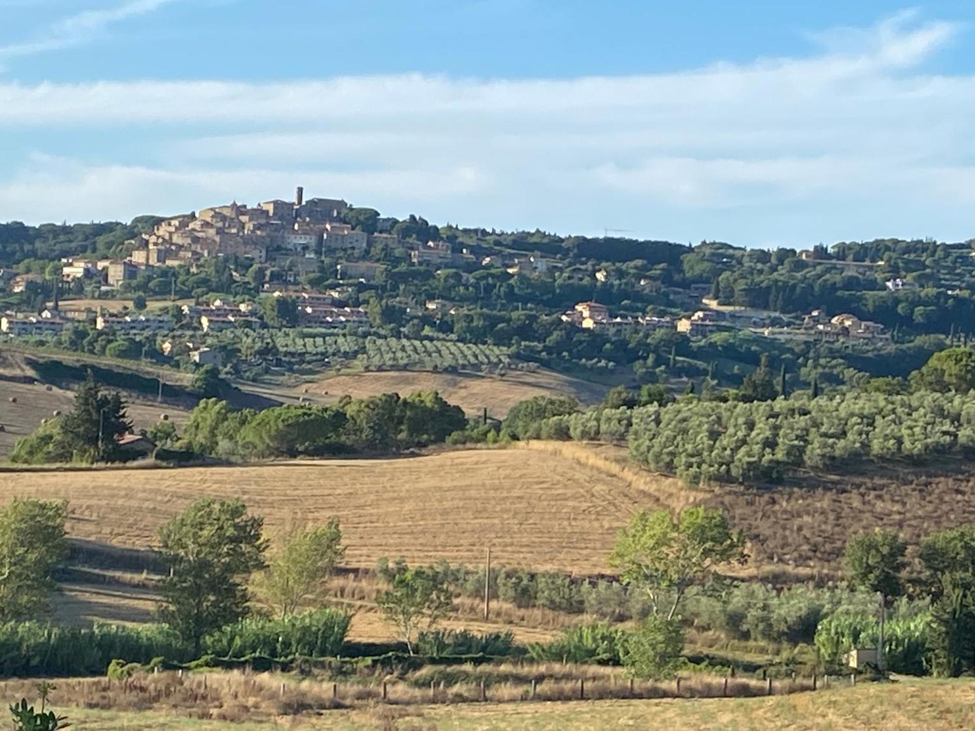 Podere Campo Alle Serpi Bibbona Bagian luar foto