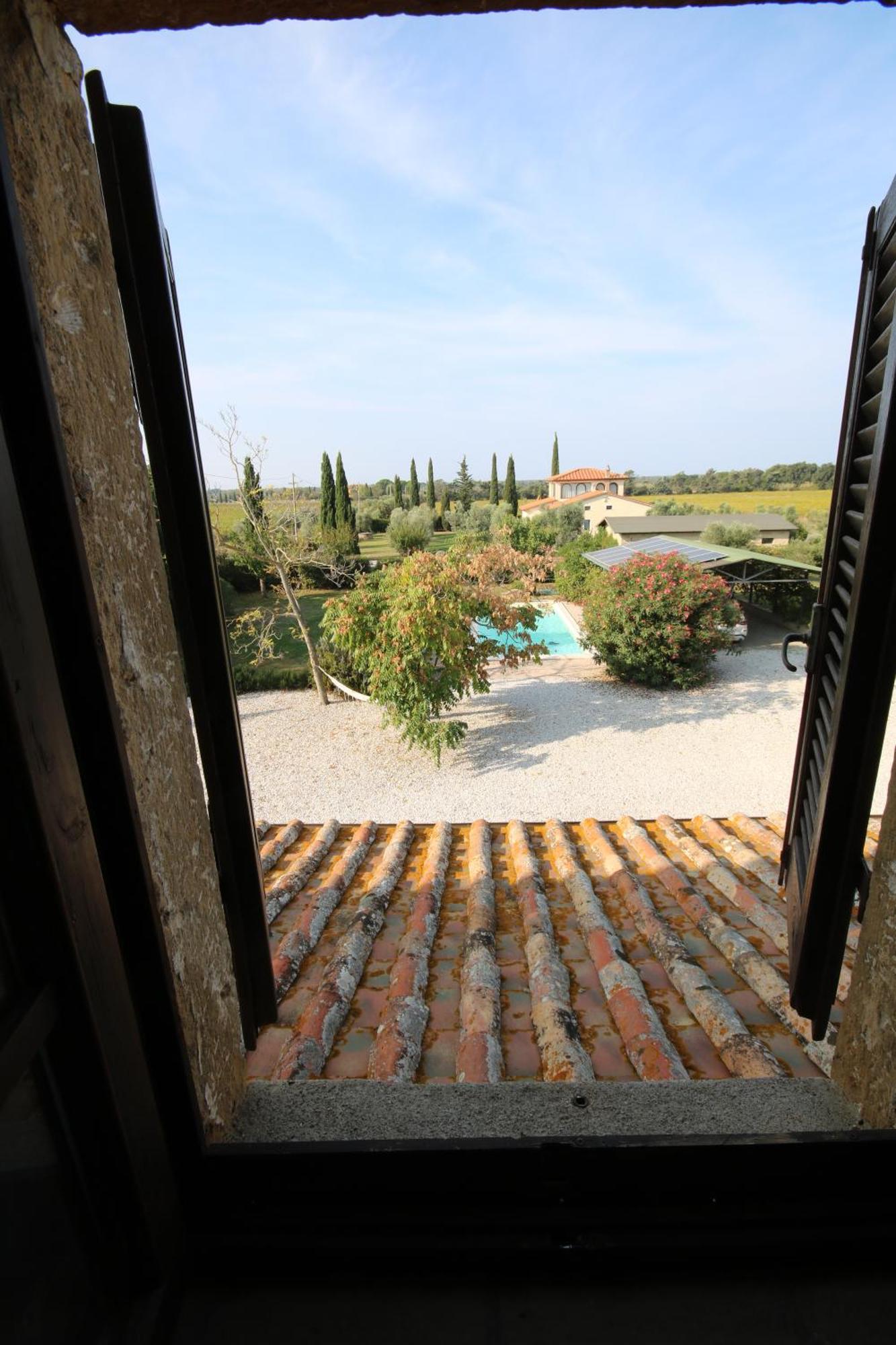 Podere Campo Alle Serpi Bibbona Bagian luar foto