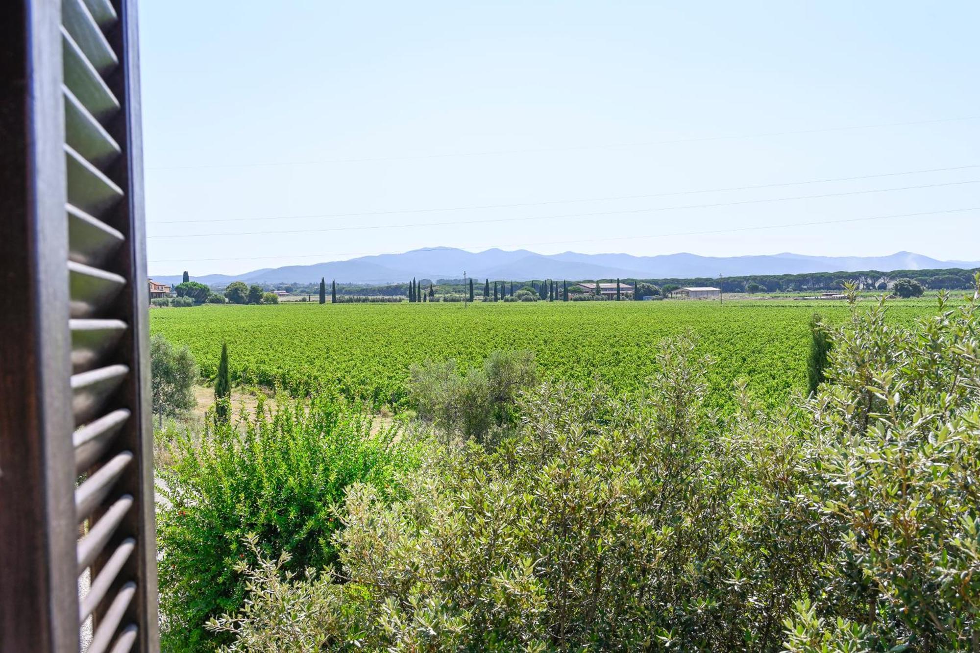 Podere Campo Alle Serpi Bibbona Ruang foto