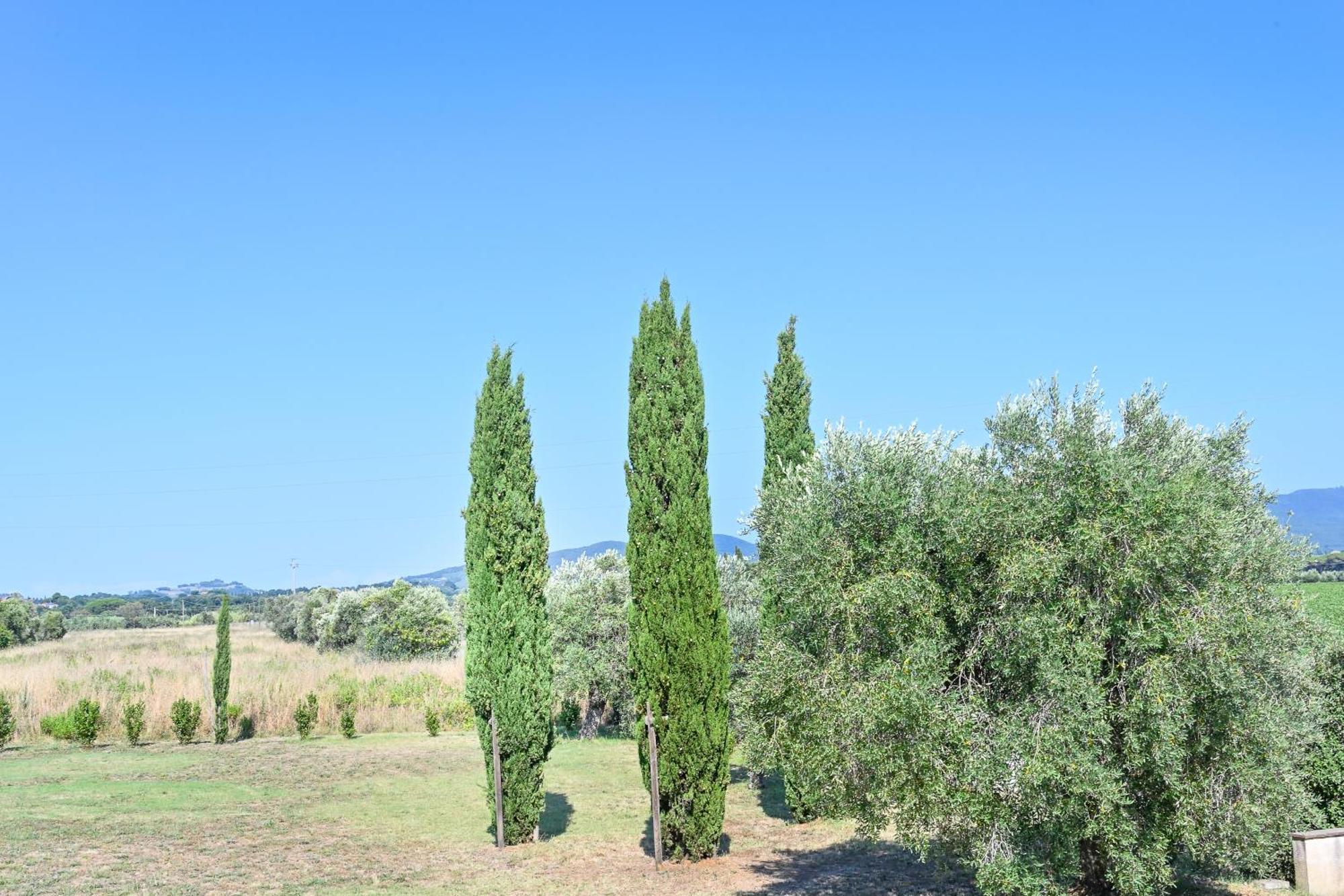 Podere Campo Alle Serpi Bibbona Ruang foto