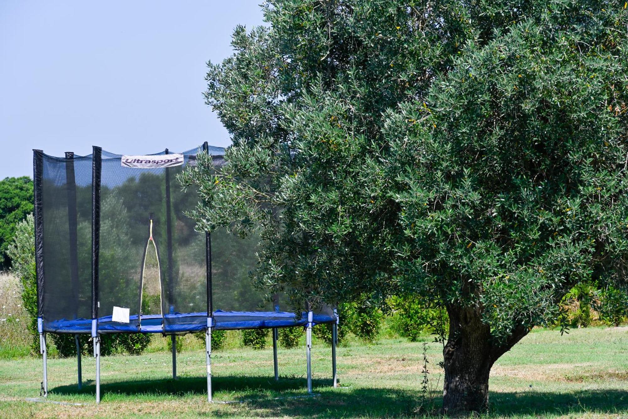 Podere Campo Alle Serpi Bibbona Bagian luar foto